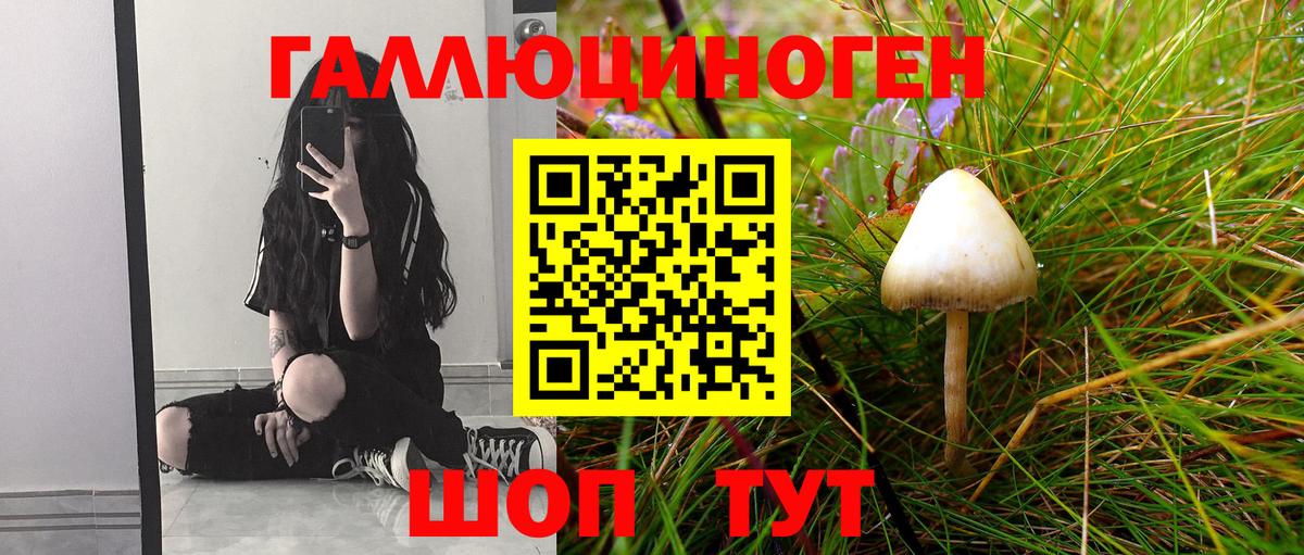 Галлюциногенные грибы Cubensis Ишим